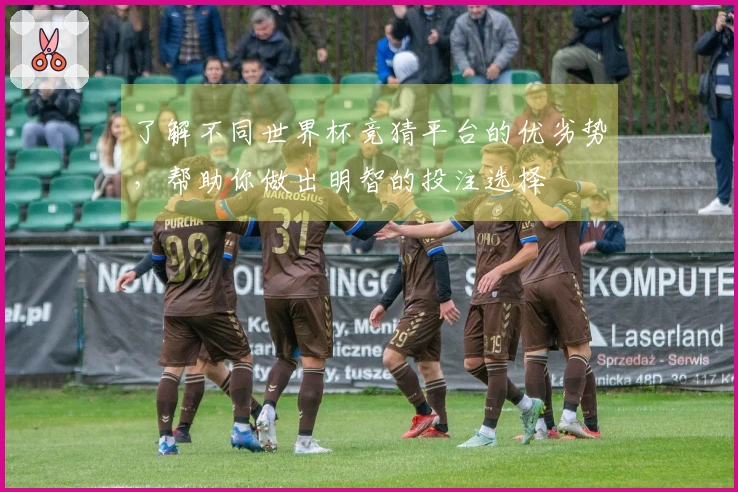 了解不同世界杯竞猜平台的优劣势，帮助你做出明智的投注选择
