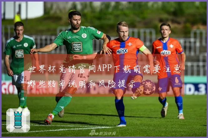 世界杯竞猜官网APP下载前需要注意哪些赔率说明和风险提示