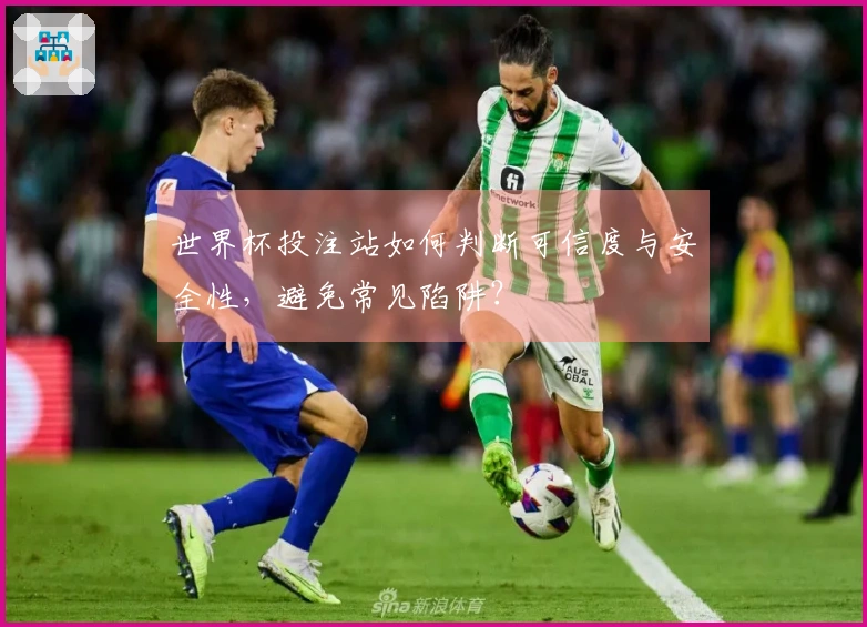 世界杯投注站如何判断可信度与安全性，避免常见陷阱？