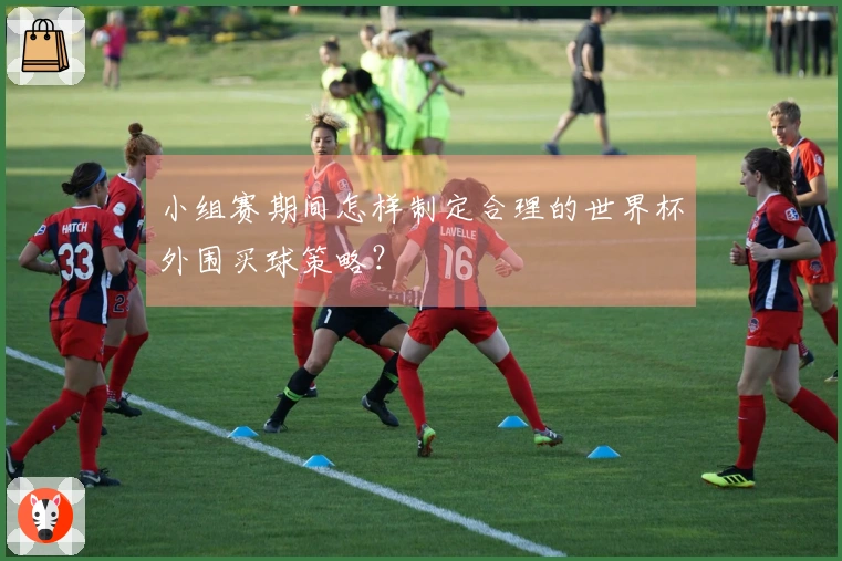 小组赛期间怎样制定合理的世界杯外围买球策略？